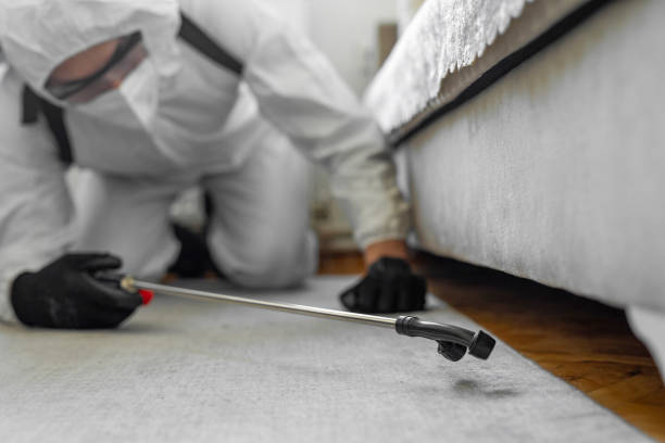 Professional Bed Bug Control technician working in Richmond, UT