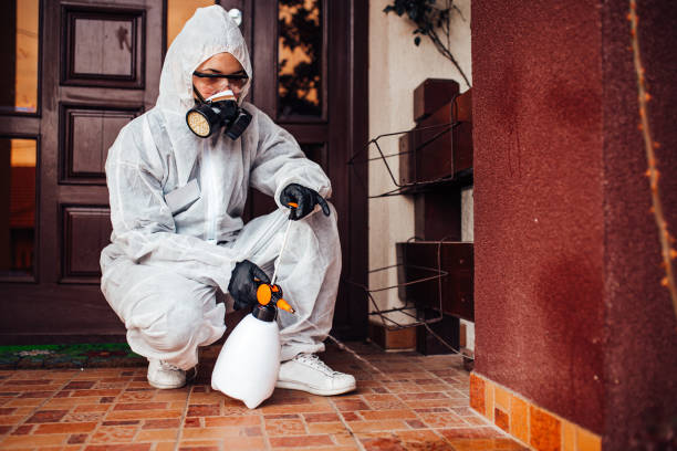 Reliable Bed Bug Control contractor in Richmond, UT by Nex Pest Control